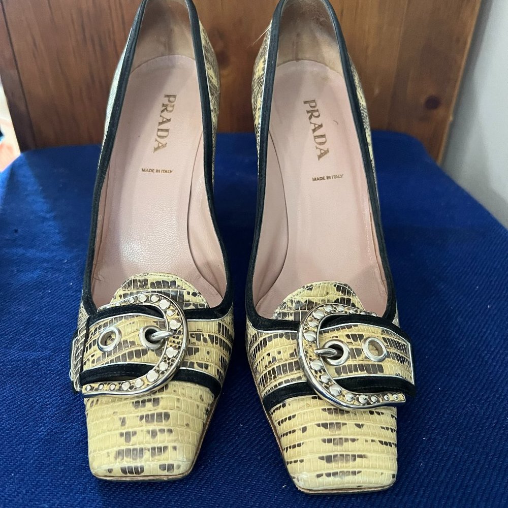 Prada Women's Snake Skin Heels Pumps
